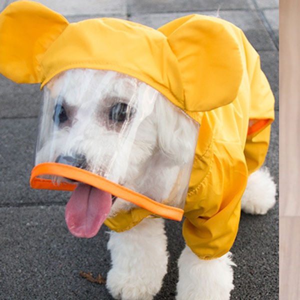 Cute Pet Raincoat